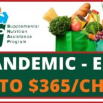 Families Receiving SNAP Should Get $379 Per School-Age Child In P-EBT Benefits In 2 Weeks: DHS