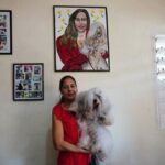 Cuban Pet Lovers Struggle To Care For Island’s Silky-Haired Native Lapdog