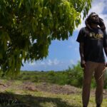 Rastafarians celebrate freedom of worship after gaining sacramental rights to marijuana in Antigua