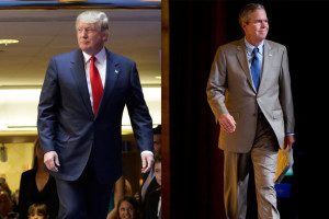donald and jeb
