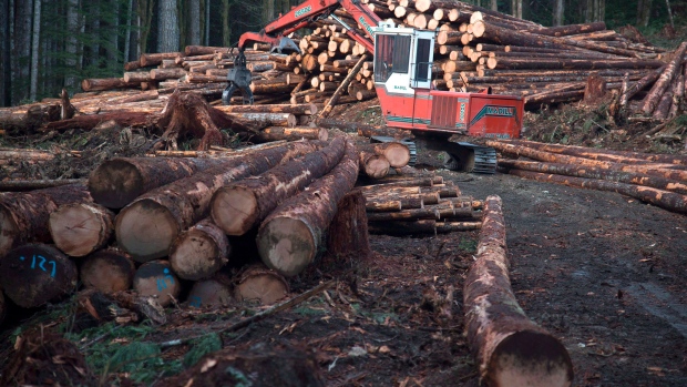 MOURNING WOOD: Guyana Gets A Woodie Over American and Canadian Wood Imports And Wants To Impose Duty Taxes On It