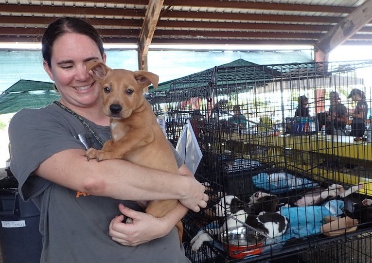 ASPCA Ends Its Tenure In St. Croix After Rescuing 22,000 Pets Following Hurricane Maria