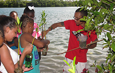 UVI’s Youth Ocean Explorers Program To Expand Thanks to Donation From Tropical Shipping-Saltchuk