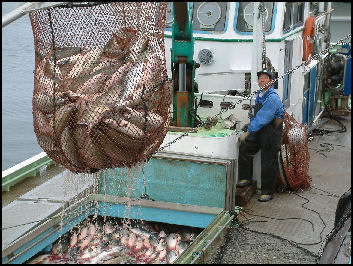 UNITED NATIONS: Asian Fishermen Exploiting Caribbean Fish Stocks Here Without Conscience