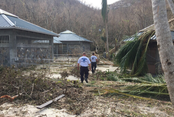 FEMA Says Hurricane Recovery Is 'Well Underway' In Virgin Islands ... Gives Update On Relief Aid