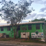 DPNR Says Stench From Stinking Sargassum Forces Office Closure In St. Thomas Today
