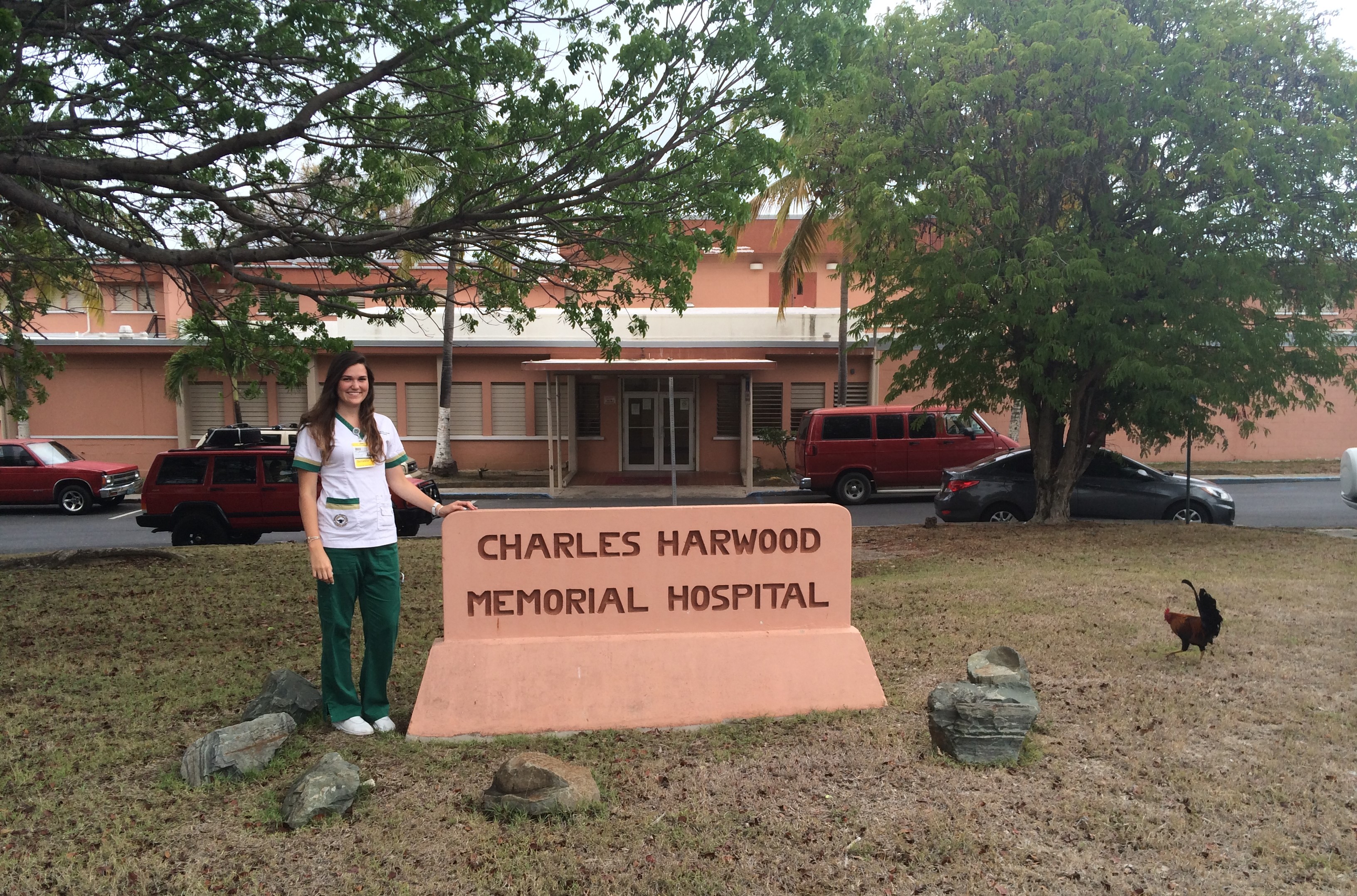 Health Department Says Charles Harwood Is Closed Today ... Will Re-Open Tomorrow