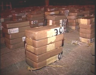 Honduran Army Seizes 700 Pounds of Cocaine Worth $5.2 Million In Caribbean Waters