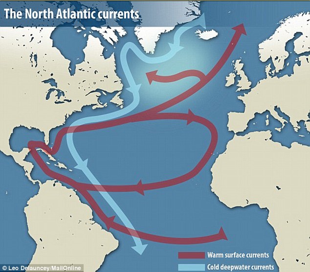 Record Cool Atlantic Ocean Could Force Hurricane Forecasters To Scale Back Predictions