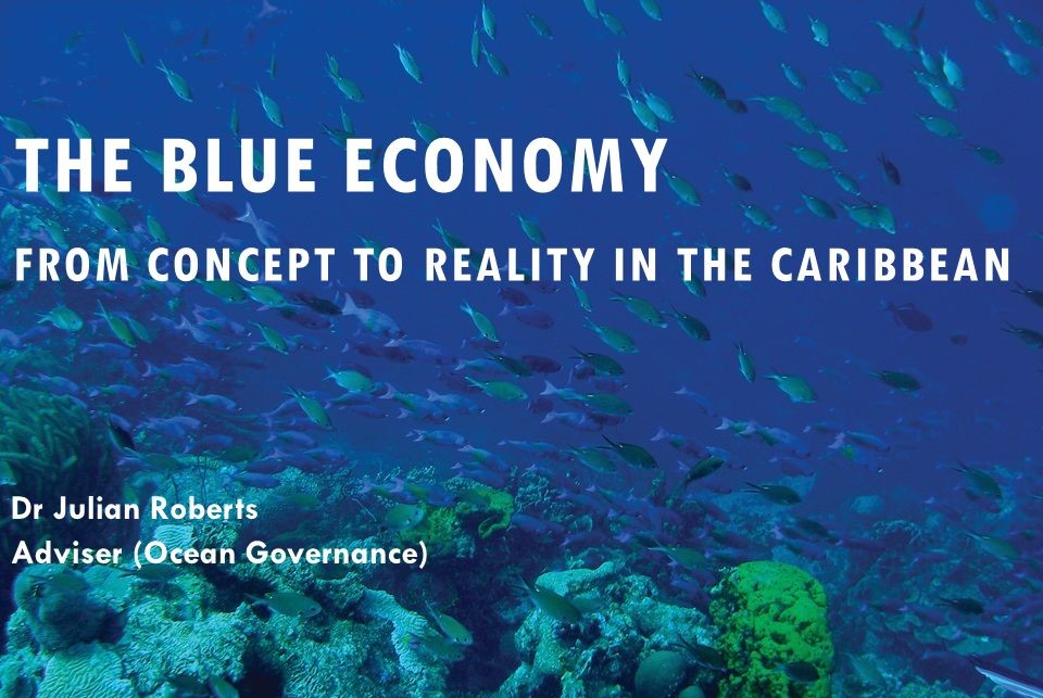 ECONOMISTS: Caribbean Nations Need To Harvest 'Blue Economy' of Marine Resources