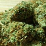 California Man Given 75 Days In Prison For Bringing 4.4 Pounds of Marijuana To St. Thomas