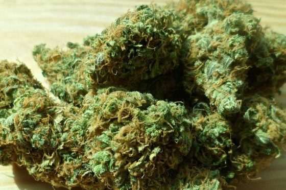 California Man Given 75 Days In Prison For Bringing 4.4 Pounds of Marijuana To St. Thomas