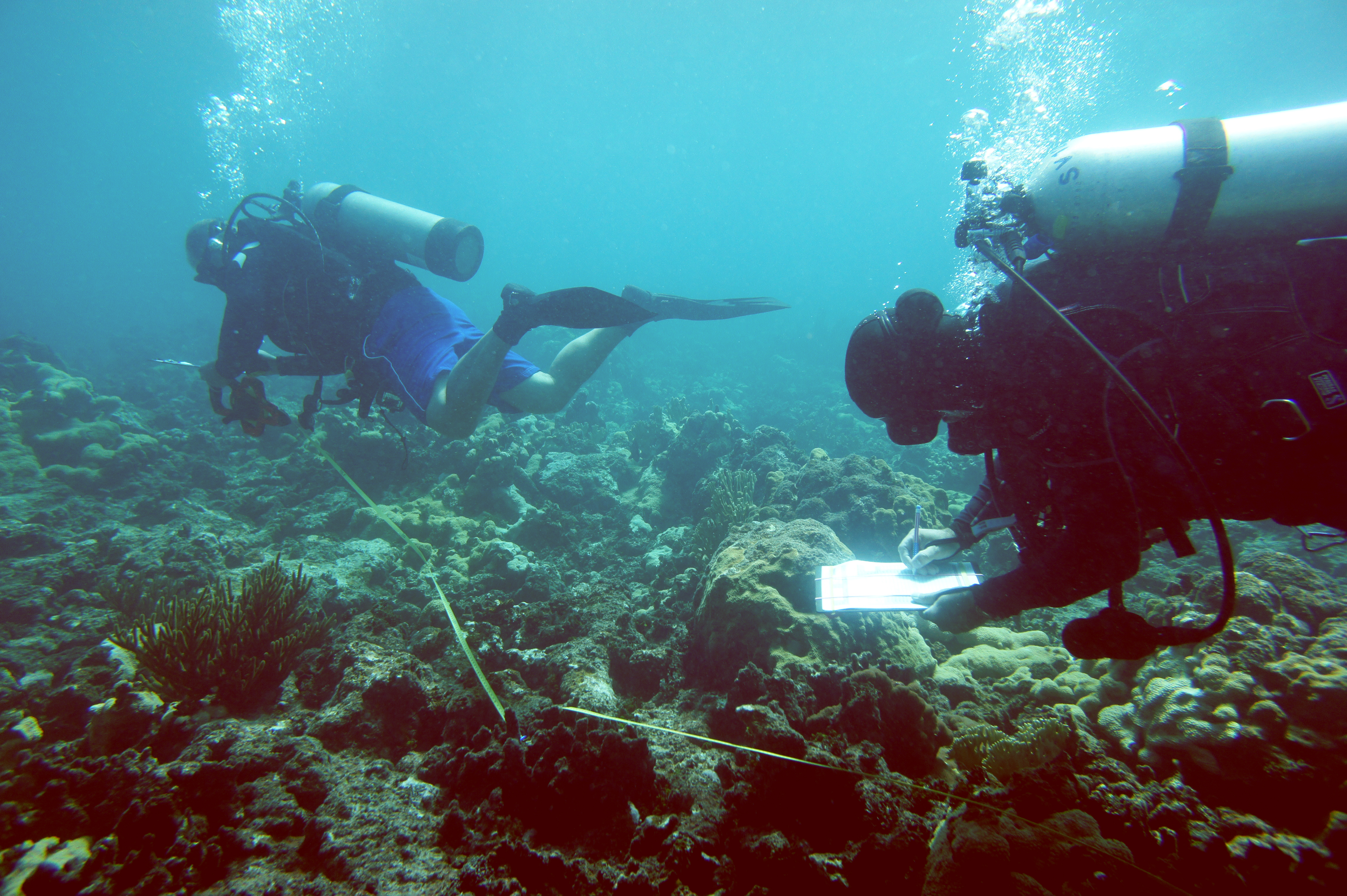 EPA Gives $100K Environmental Education Grant To Support UVI Careers in Marine Sciences