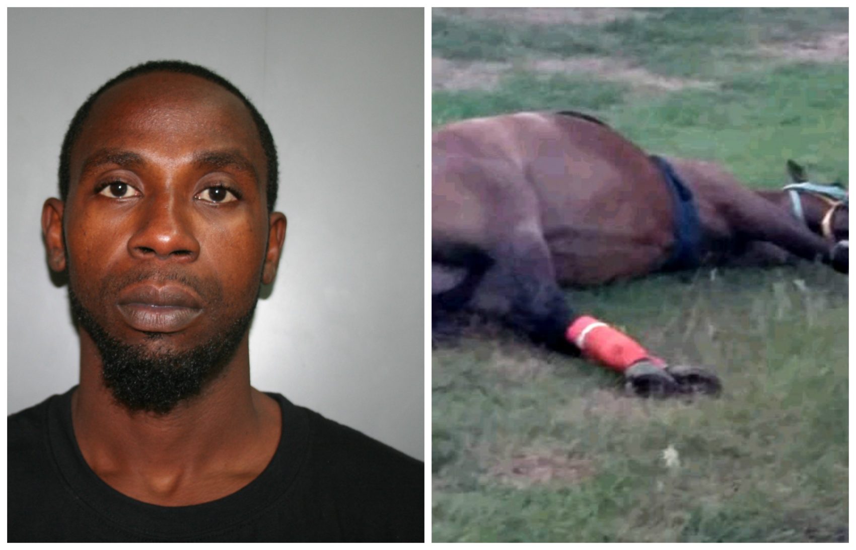 VIPD: St. Croix Man Shoots Horse Multiple Times, Is Arrested For Shooting Man On It
