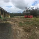 Senator Gittens: La Reine Fish Market Has Been Cleaned Up By Government