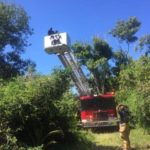 Man Parasailing Rescued From Tree In St. Thomas By Fire Services Today