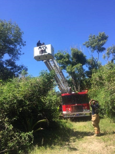 Man Parasailing Rescued From Tree In St. Thomas By Fire Services Today