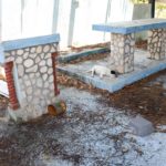 VIPD Animal Cruelty Unit Investigating Dog Poisonings In Est. Montpellier St. Croix