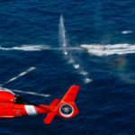 USAO: Three South Americans and One Central American Smuggled 3,384 Pounds Of Cocaine By Sea