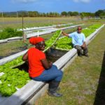University of the Virgin Islands Featured in National Geographic Magazine