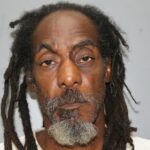 Homeless Man Arrested For Allegedly Stealing Tools From Parked Vehicle: VIPD