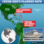 Caribbean Princess Returns Back To Port After 300 Begin Vomiting On Cruise Ship