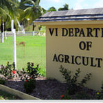INSIDE JOB? Department Of Agriculture Safe With $39,000 Stolen On St. Croix