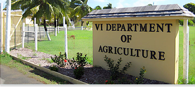 INSIDE JOB? Department Of Agriculture Safe With $39,000 Stolen On St. Croix
