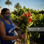 USVI Said To Be ‘On The Uptick’ With COVID-19 Cases After 5th Death In Territory