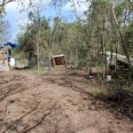 Police Find ‘Illegal Marijuana Cultivation Site’ On V.I. Department of Agriculture Land