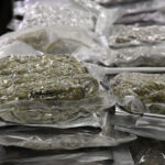 Arizona Man Arrested After Trying To Smuggle 24 Pounds Of Marijuana To St. Croix