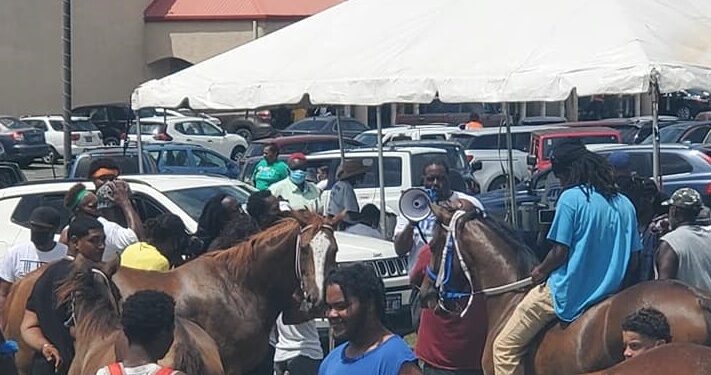 St. Croix Senator Gets Sit Down Meeting Between Governor And Horse Owners After Protest On Saturday