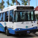 VITRAN Mass Transit Bus Driver Training To Resume On Monday: DPW