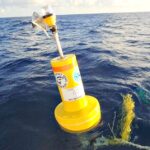 DPNR  Deploys 3 New Fish Aggregating Devices In St. Thomas, St. Croix