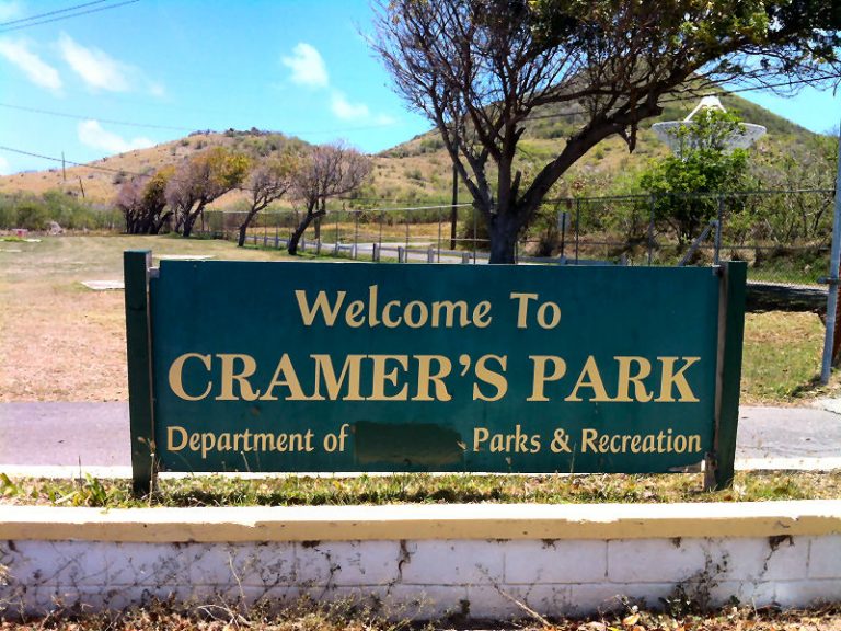 Body Found In Bushes Near Cramer's Park Identified Using DNA Analysis: VIPD