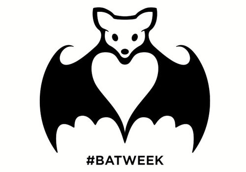 Go To Bat For Bats During Bat Week, Just In Time For Halloween