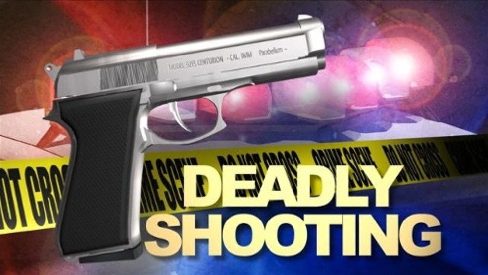 St. Croix Man Shot Dead Near Bar In Williams Delight Late Friday Night: VIPD