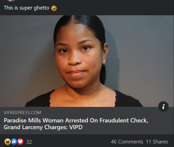 Paradise Mills Woman Arrested On Fraudulent Check, Grand Larceny Charges: VIPD