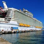 Royal Caribbean Shareholders Sue Cruise Line Over ‘Misleading’ COVID-19 Disclosures