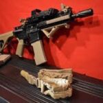 Brother and Sister Duo Sentenced to 10 and 3.4 Years For Firearms Trafficking