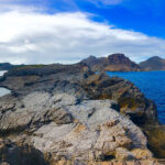 How Did Mammals Get To The Caribbean Islands?