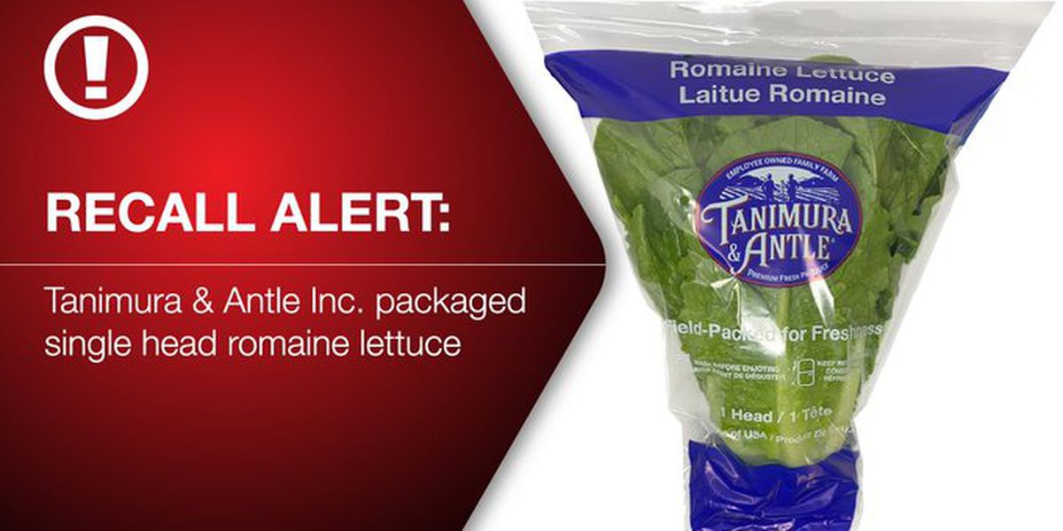 Romaine Lettuce Recall Hits Puerto Rico And 19 Other States