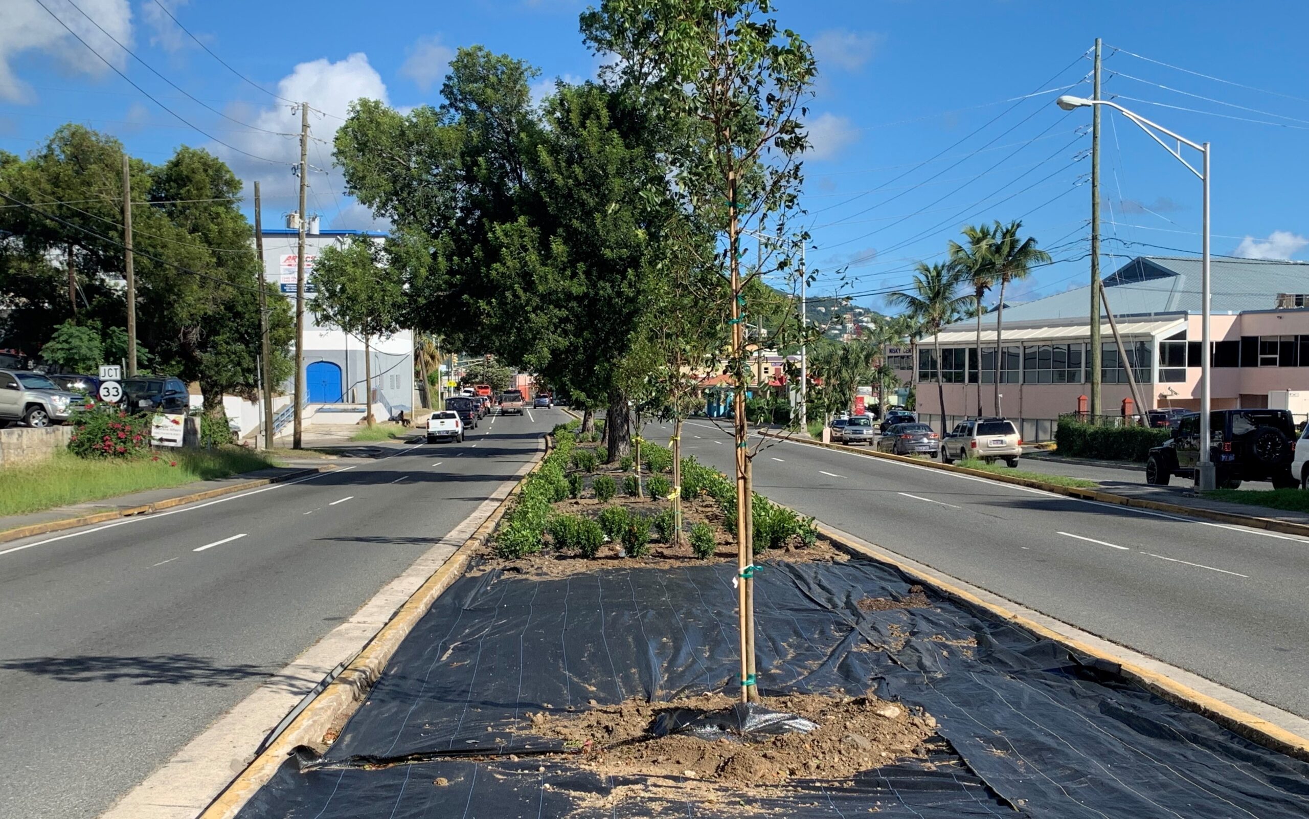DPW Seeks To Beautify St. Thomas Roadsides Through Pilot Landscaping Project