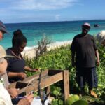 Who Were The First People To Call The Caribbean Home?