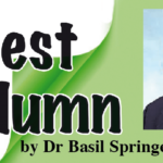 How Can The USVI Energize CARICOM? Expert Column By Basil Springer, Ph.D.