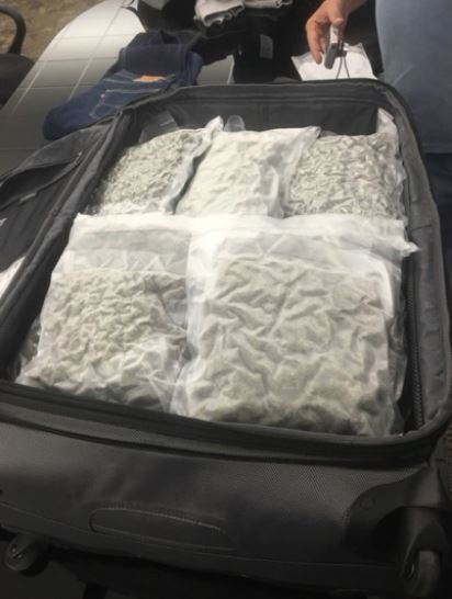 Drug Mule Coming From Miami With 17 Pounds Of Marijuana Gets Less Than 1 Year In Prison From Judge