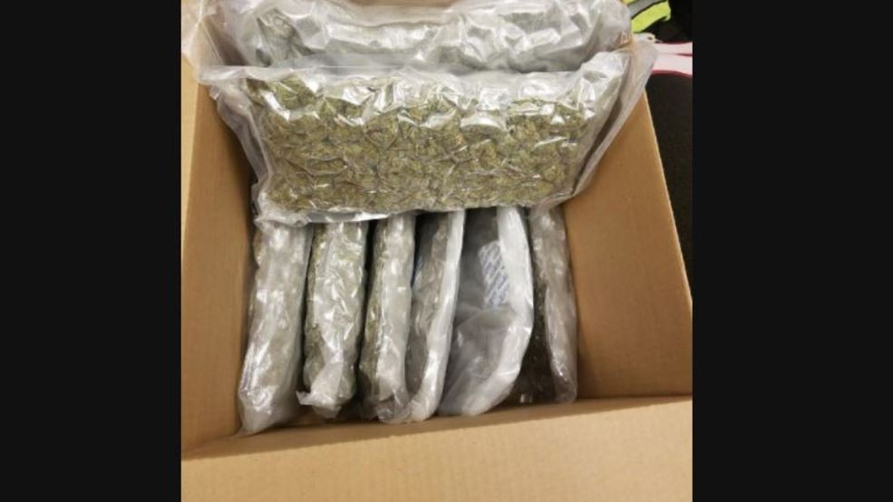 Arizona Man Pleads Guilty To Smuggling 24 Pounds Of Marijuana Into St. Croix