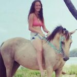Thieves Make Off With 3 Horses From Carlton Farm After Midnight, Owner Says