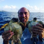 UVI Gets $60,000 Donation For Sea Turtle Research