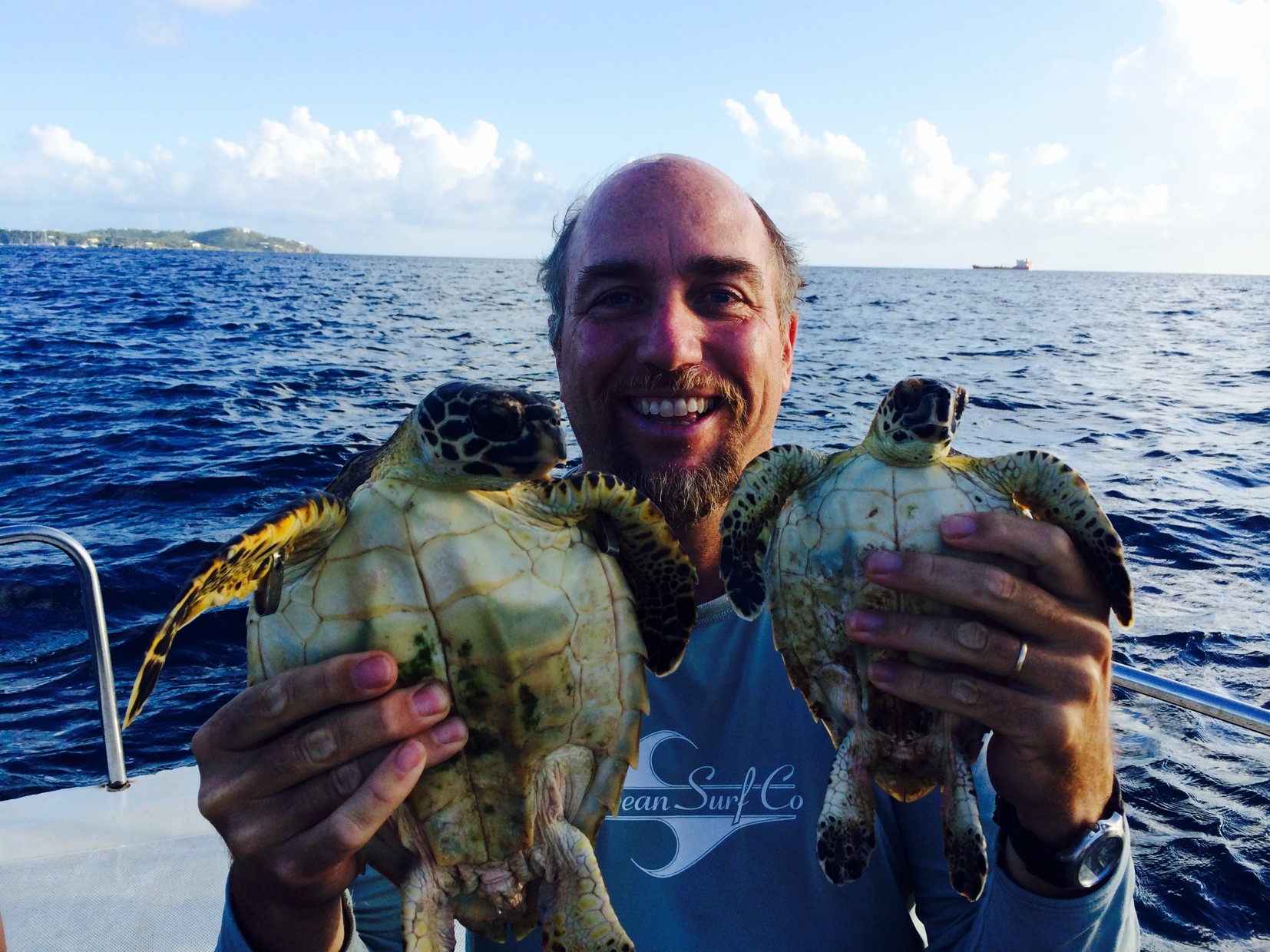 UVI Gets $60,000 Donation For Sea Turtle Research